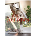 catsチラシ38.jpg