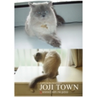 catsチラシ50.jpg