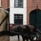 Beigi-Brugge-104.jpg