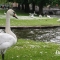 Beigi-Brugge-105.jpg