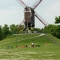 Beigi-Brugge-112.jpg