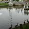 Beigi-Brugge-125.jpg