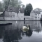 Beigi-Brugge-140.jpg
