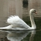 Beigi-Brugge-141.jpg