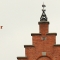 Beigi-Ieper-23.jpg