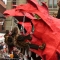 Beigi-Ieper-67.jpg