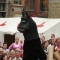 Beigi-Ieper-68.jpg