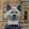 Beigi-Ieper-97.jpg