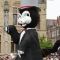 Beigi-Ieper-98.jpg