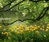 Beigi-Keukenhof-2.jpg