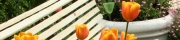 Beigi-Keukenhof-71.jpg