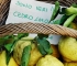 ita-amalfi-12.jpg