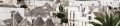 ita-albero-20.jpg