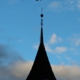 har-021.jpg