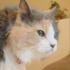 DSC01519.JPG