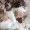DSC01604.JPG