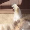 DSC01575.JPG