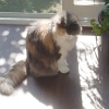 DSC01825.JPG