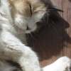 DSC01922.JPG