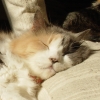 DSC02268.JPG