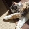 DSC02287.JPG