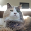 DSC02354.JPG