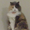 DSC02398.JPG