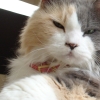 DSC02417.JPG