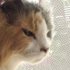 DSC02482.JPG