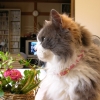 DSCN1335.JPG