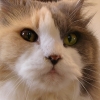 DSCN1333.JPG
