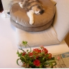 DSCN1310.JPG