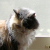 DSCN0660.JPG