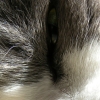 DSCN0562.JPG