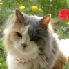 DSCN0442.JPG