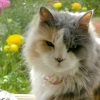 DSCN0440.JPG