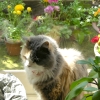DSCN0439.JPG