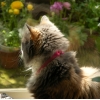 DSCN0438.JPG
