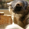 DSCN0362.JPG