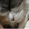DSCN0348.JPG