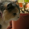 DSCN0027.JPG