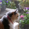 DSCN0017.JPG