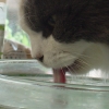 DSC03357.JPG