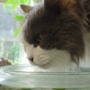 DSC03363.JPG