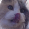 DSC03352.JPG