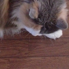DSC03353.JPG