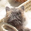 DSC02911.JPG