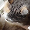 DSC02882.JPG