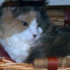 IMG_6849.JPG