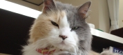 DSC02417.JPG